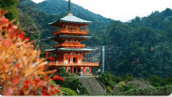 National Team Advances to Championship Finals